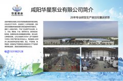 煤泥泵關于煤礦污水處理的論述